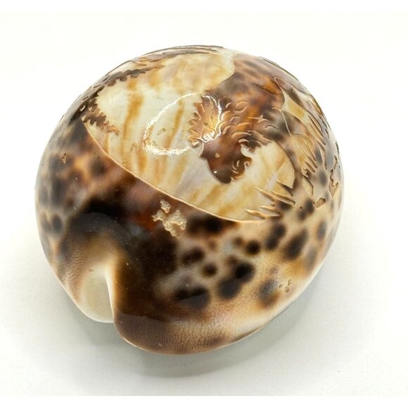 Vintage Souvenir Carved Spotted Cowrie Shell With African Lion Motif - Picture 3 of 8